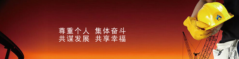 ���޹��ʡ�(����)���޹�˾����