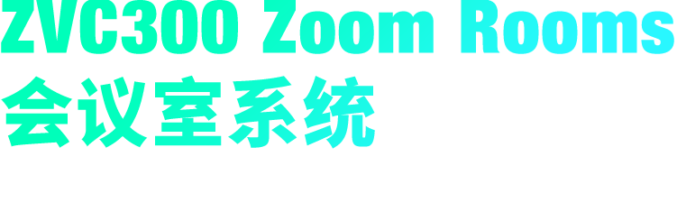 ZVC300 Zoom Rooms �ۻ���ϵͳ