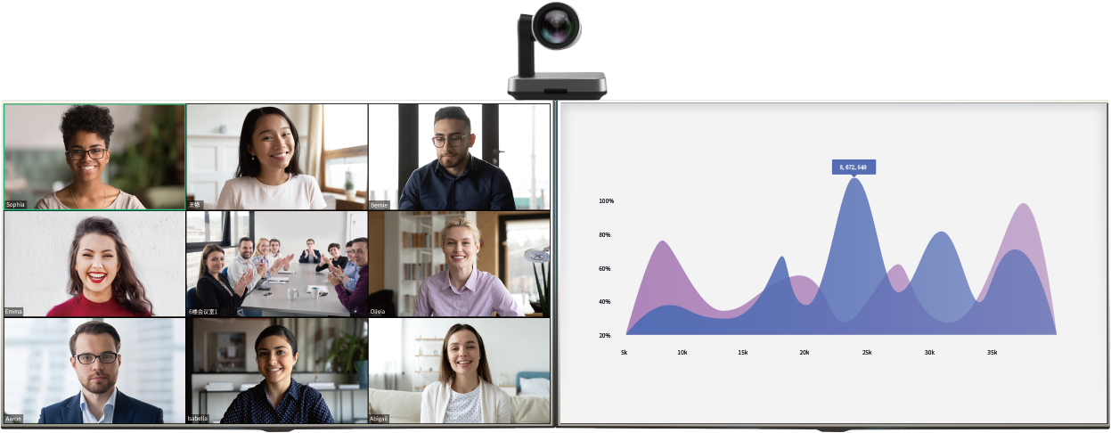 MeetingEye 800�ۻ����