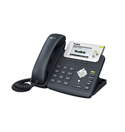 ¾ÅÖÞ¹ú¼ÊT22P¸ßÇåÓïÒôIP»°»ú