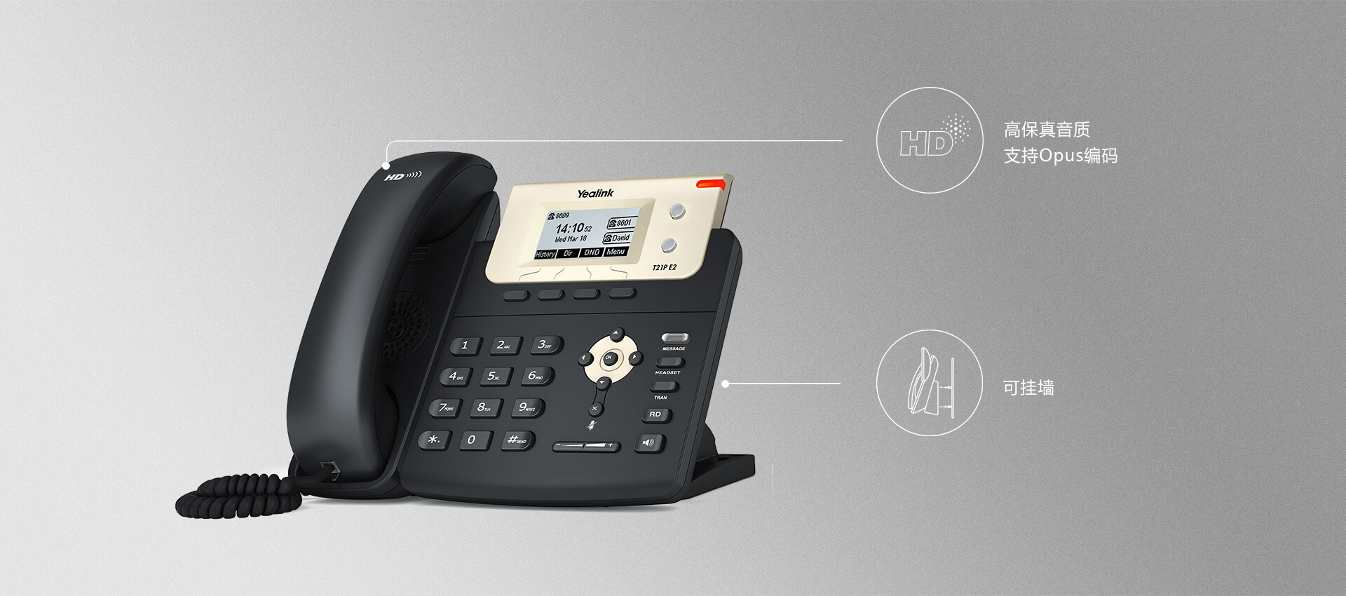 ˫��·���ż�IP����